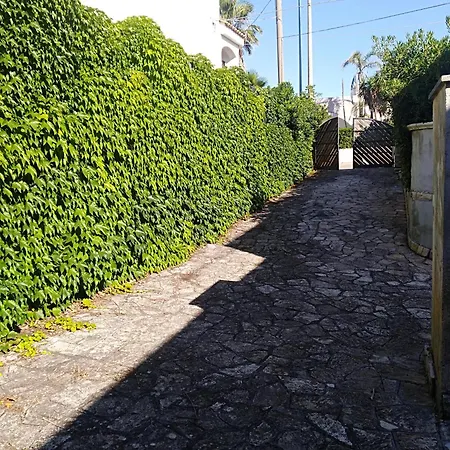 Giordano * Torre Suda