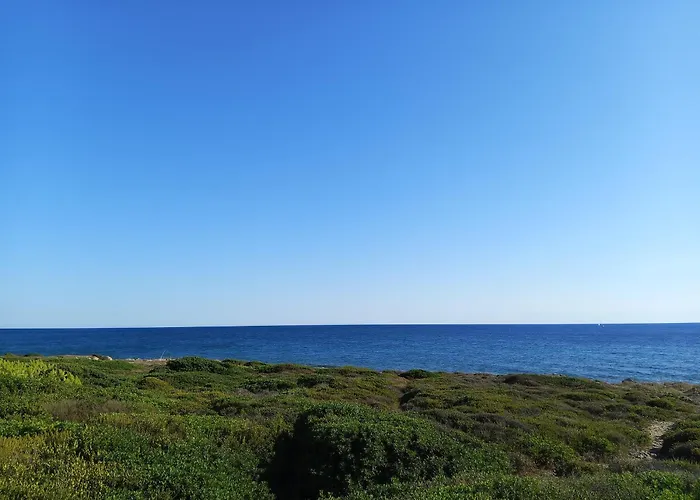 Giordano * 托雷苏达