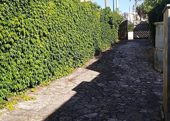 Giordano * 托雷苏达